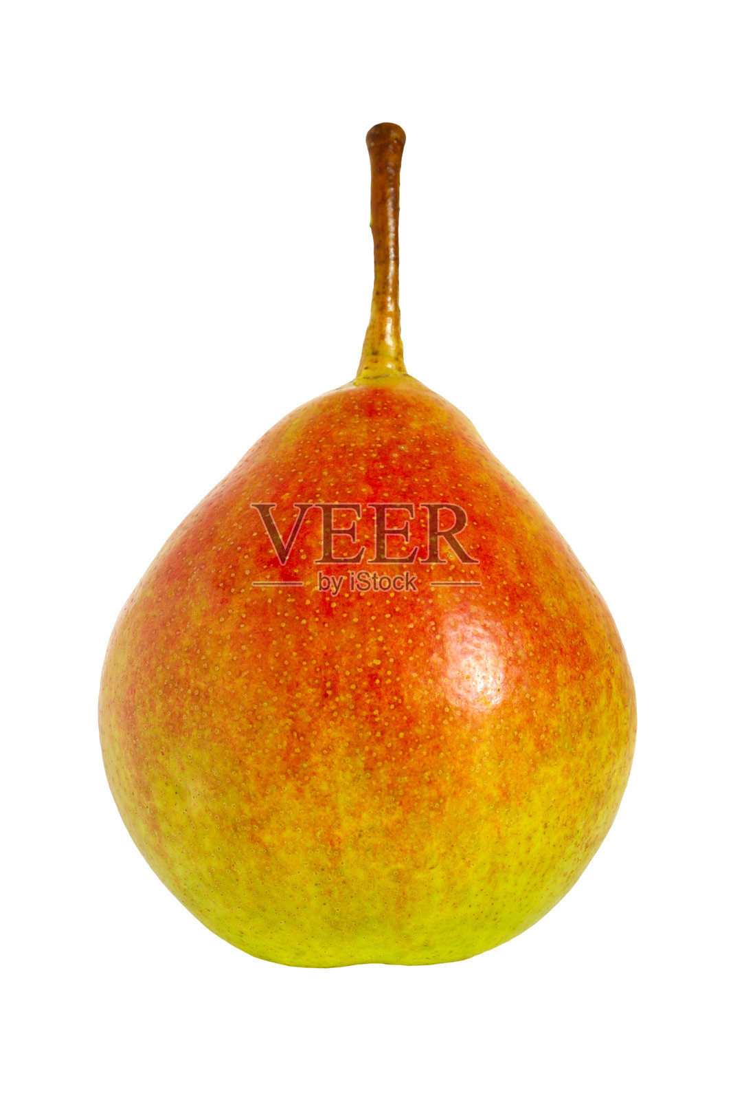 白色背景上的鳟梨。照片摄影图片