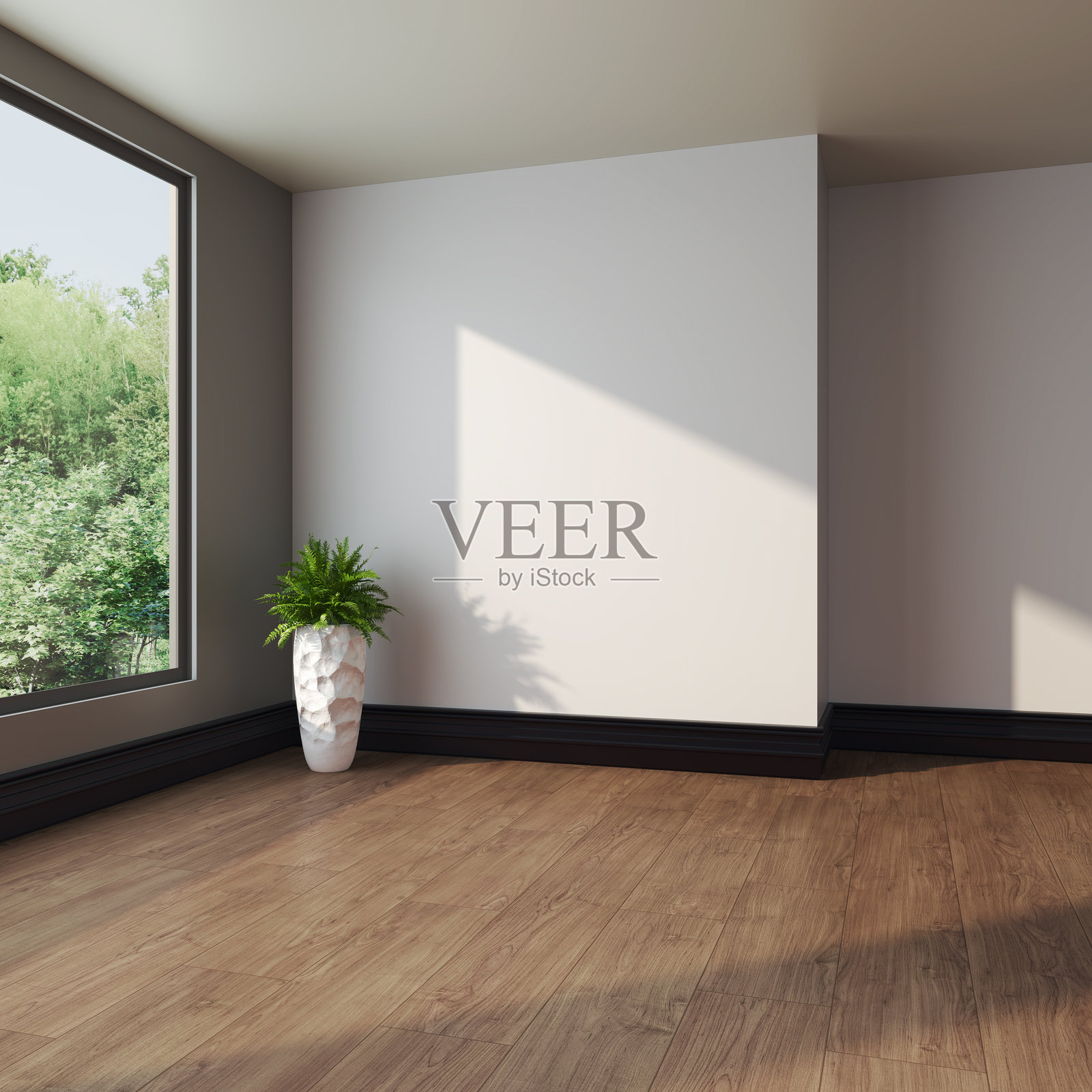 现代明亮的室内空房间3D渲染照片摄影图片