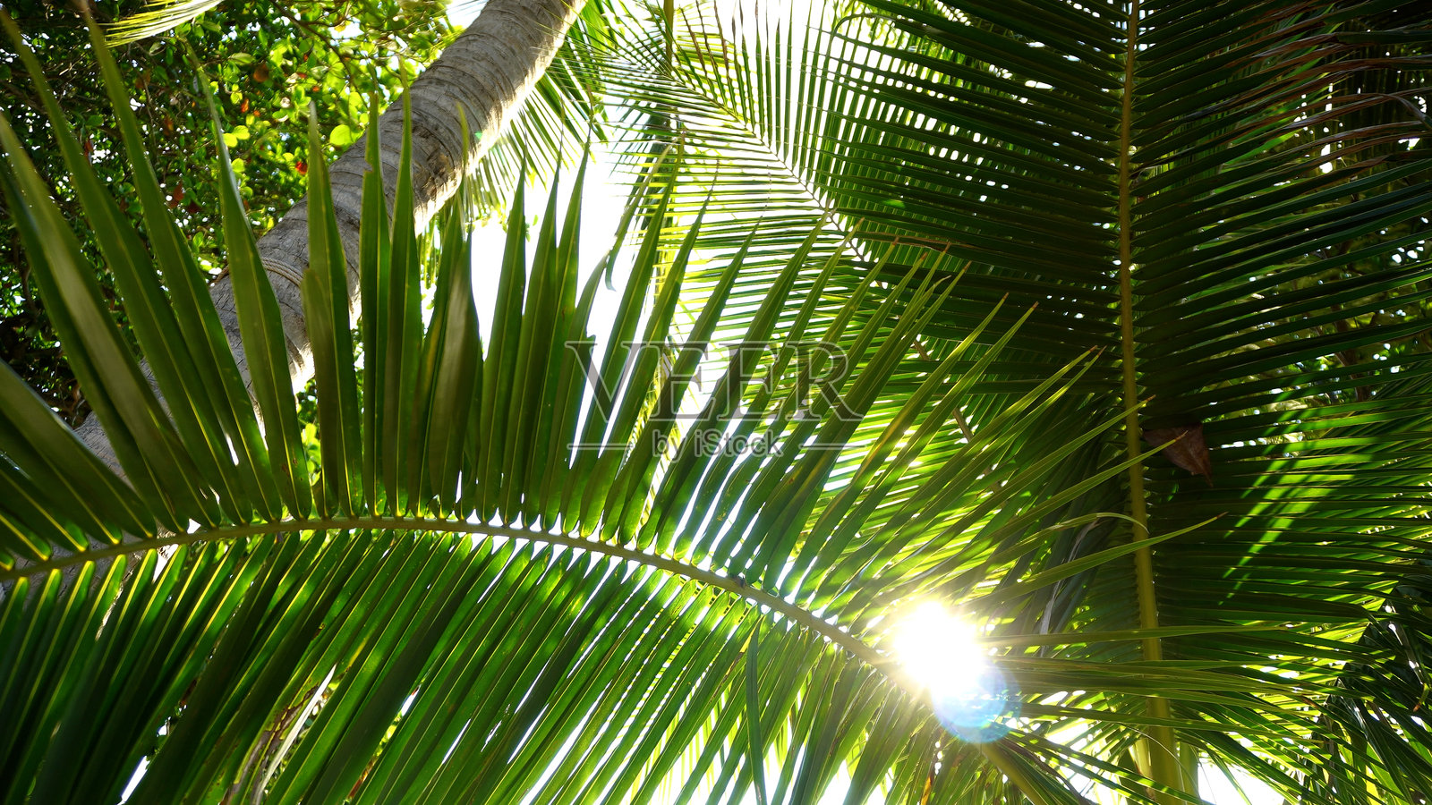 海滩上的夏季时光。照片摄影图片