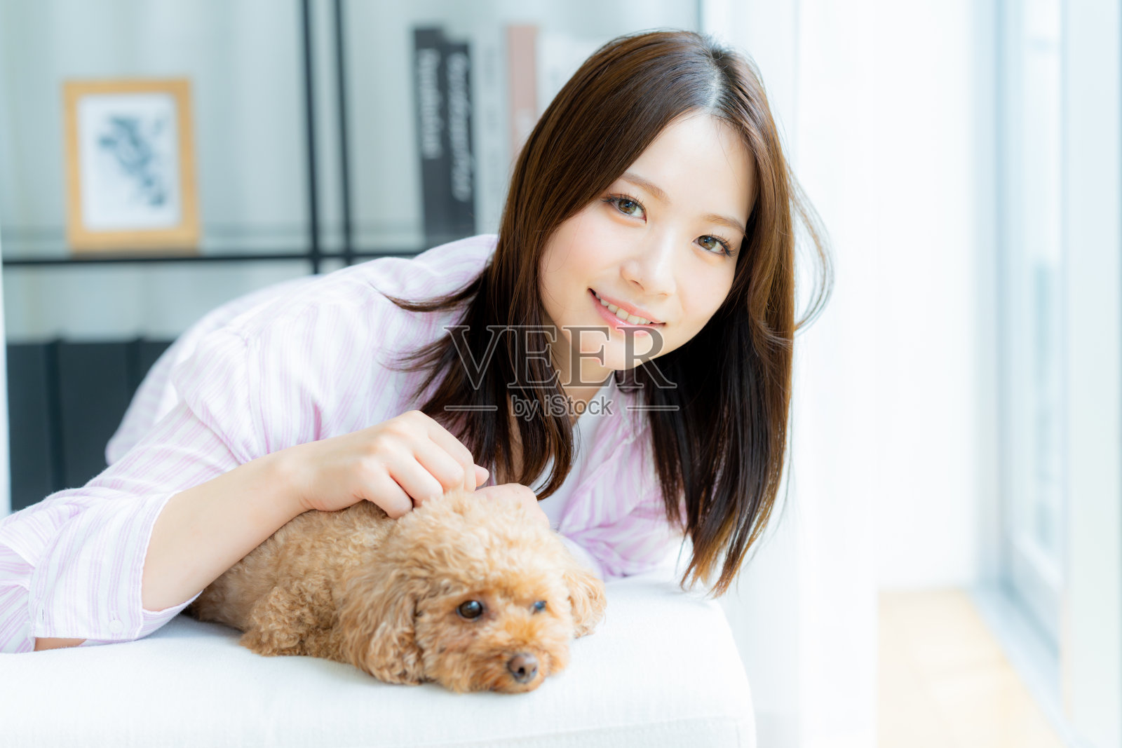 年轻女性在房间里与宠物放松。照片摄影图片