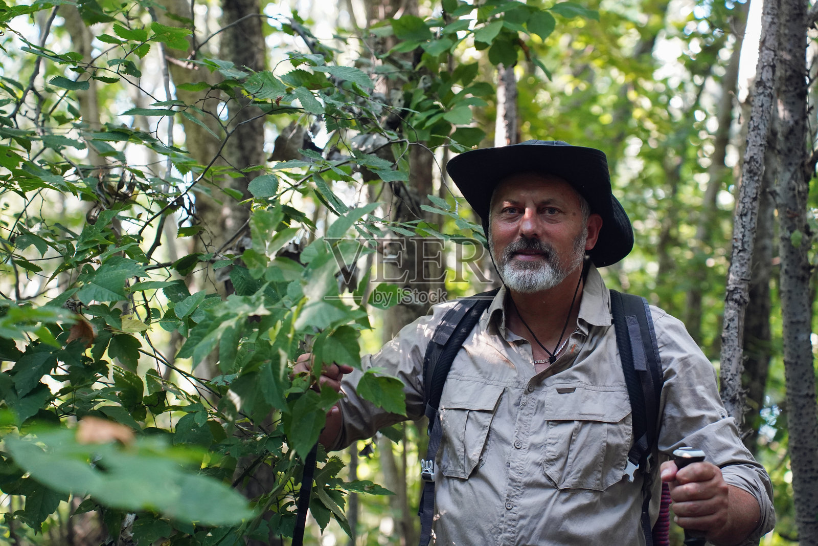 探险者在荒野探险中穿越茂密森林照片摄影图片