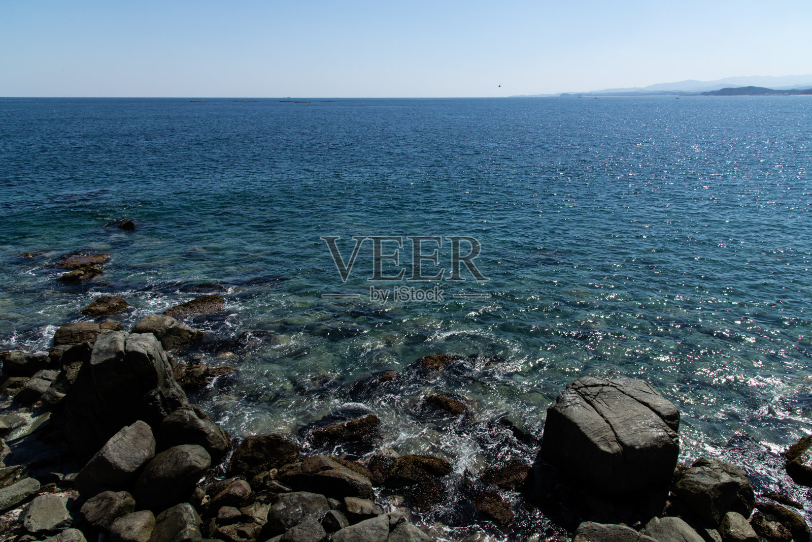 绿色海洋与四足动物和地平线照片摄影图片