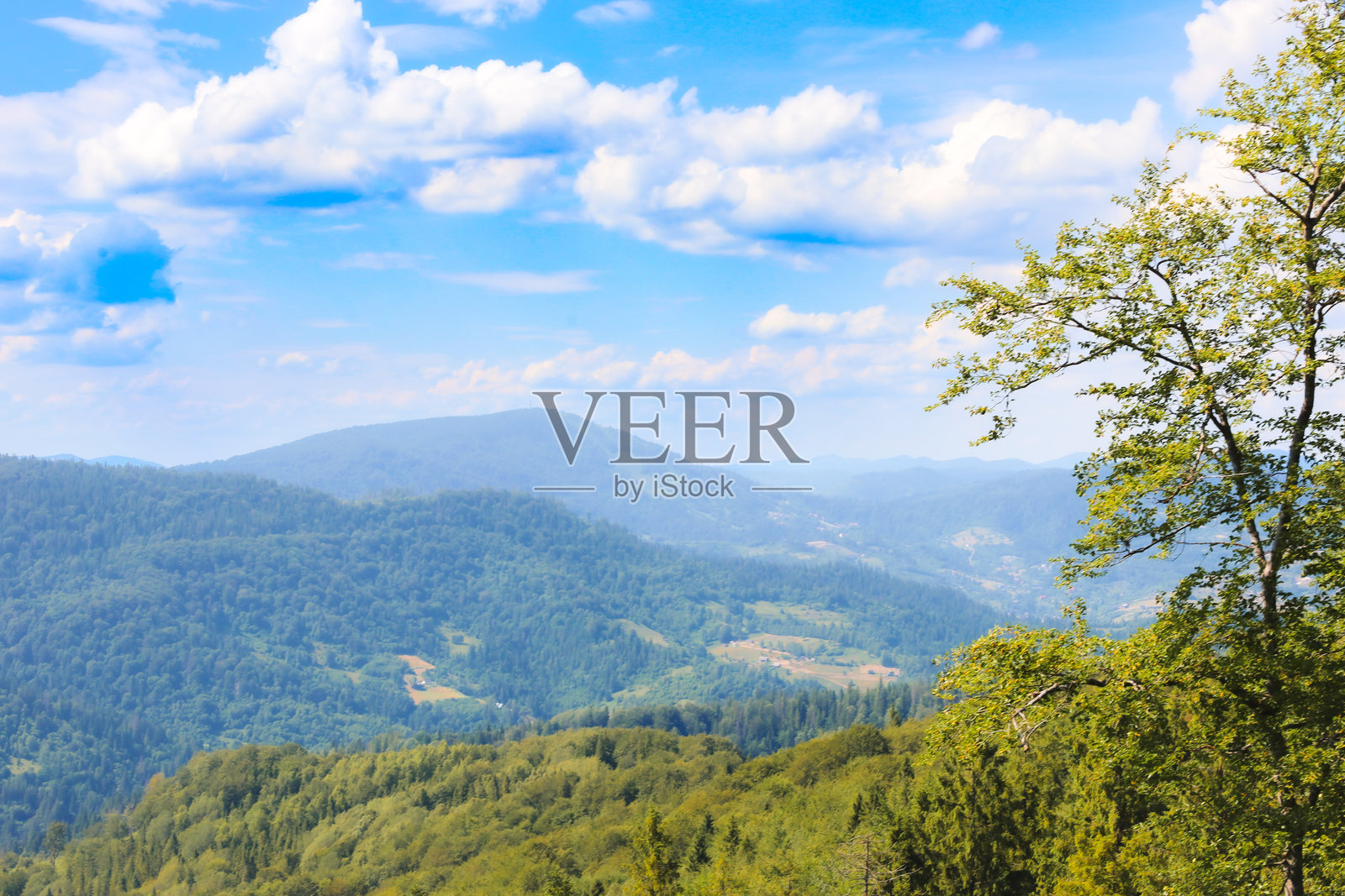 在明亮的蓝天和白云下,森林覆盖的山脉形成了一幅如画的风景。前景中的一棵树为构图增添了层次,突显了自然的壮丽。照片摄影图片
