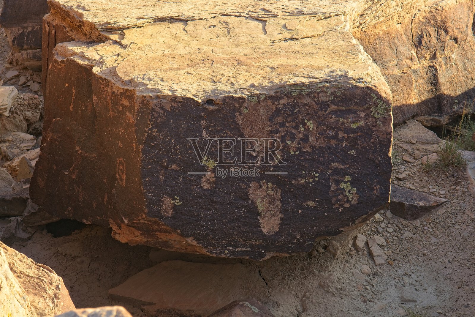 亚利桑那州化石森林国家公园的足迹岩刻及其他岩刻。照片摄影图片