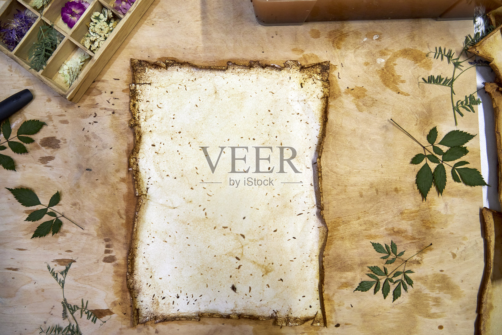 一个创意植物标本项目,展示了在手工纸上保存和排列压花的完整过程,从木箱存储到用于装饰和手工艺的艺术植物组合。照片摄影图片