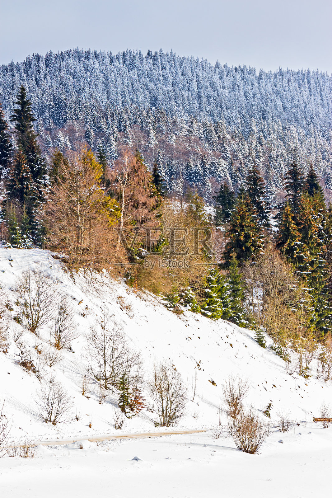 冬季的山区乡村风景照片摄影图片
