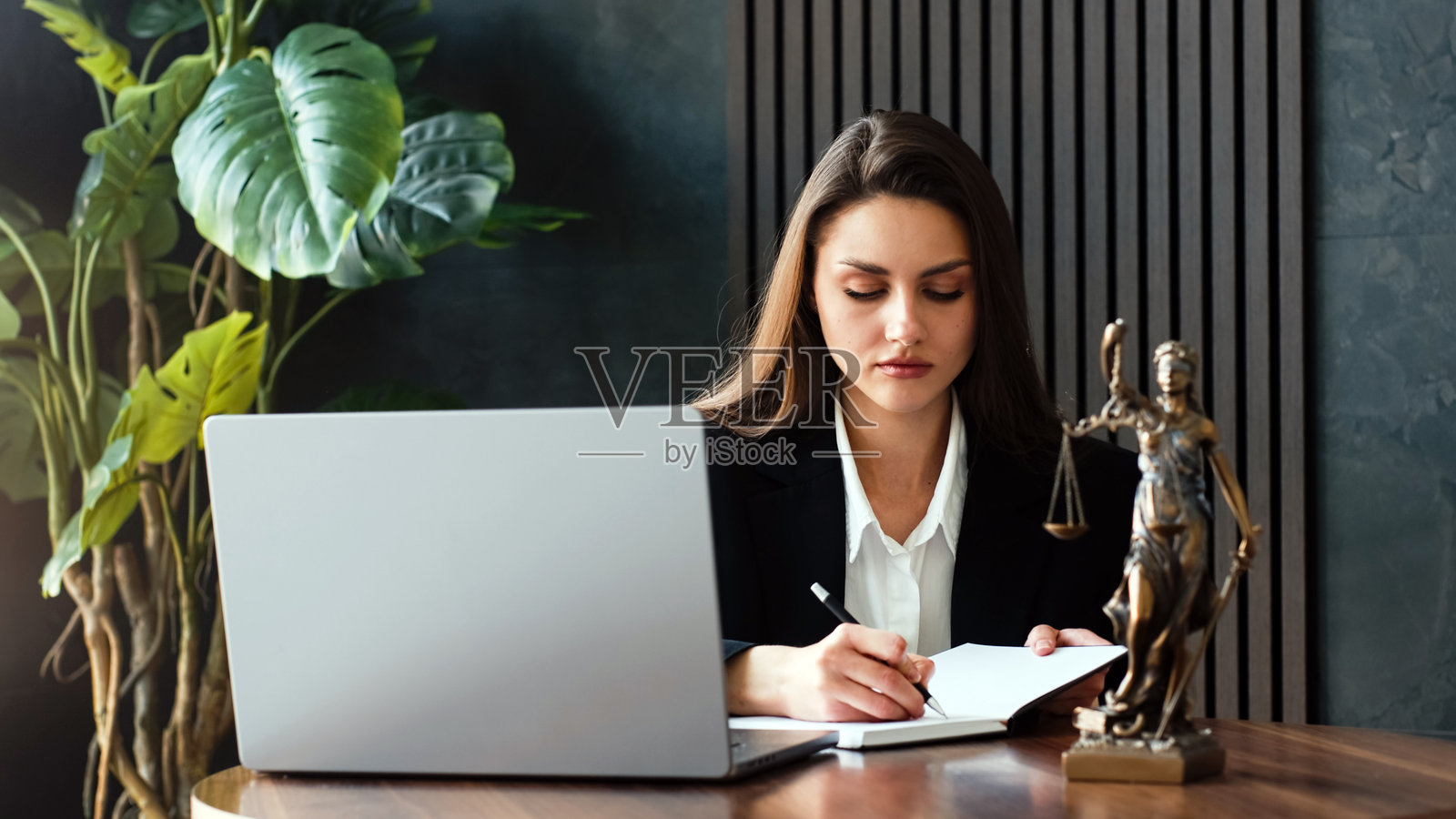 女性律师在时尚的桌子上使用笔记本电脑工作,周围环绕着绿色植物。照片摄影图片