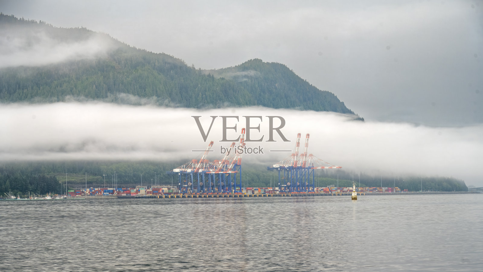 鹤照片摄影图片