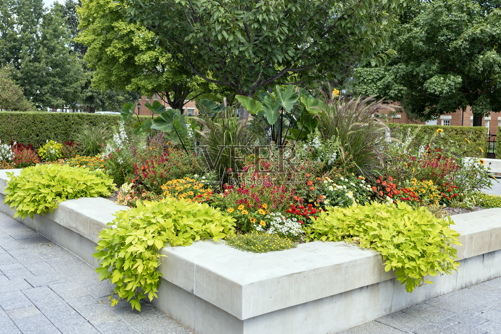 花园照片摄影图片