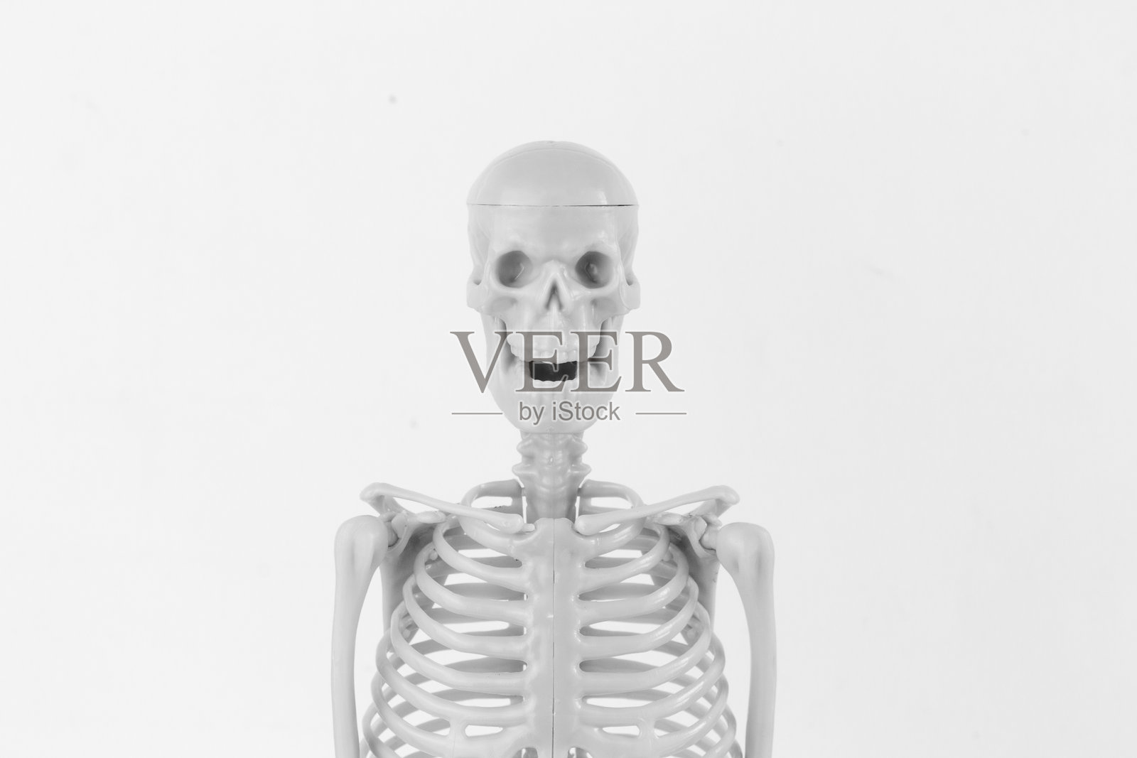 白色背景上的骷髅雕像照片摄影图片