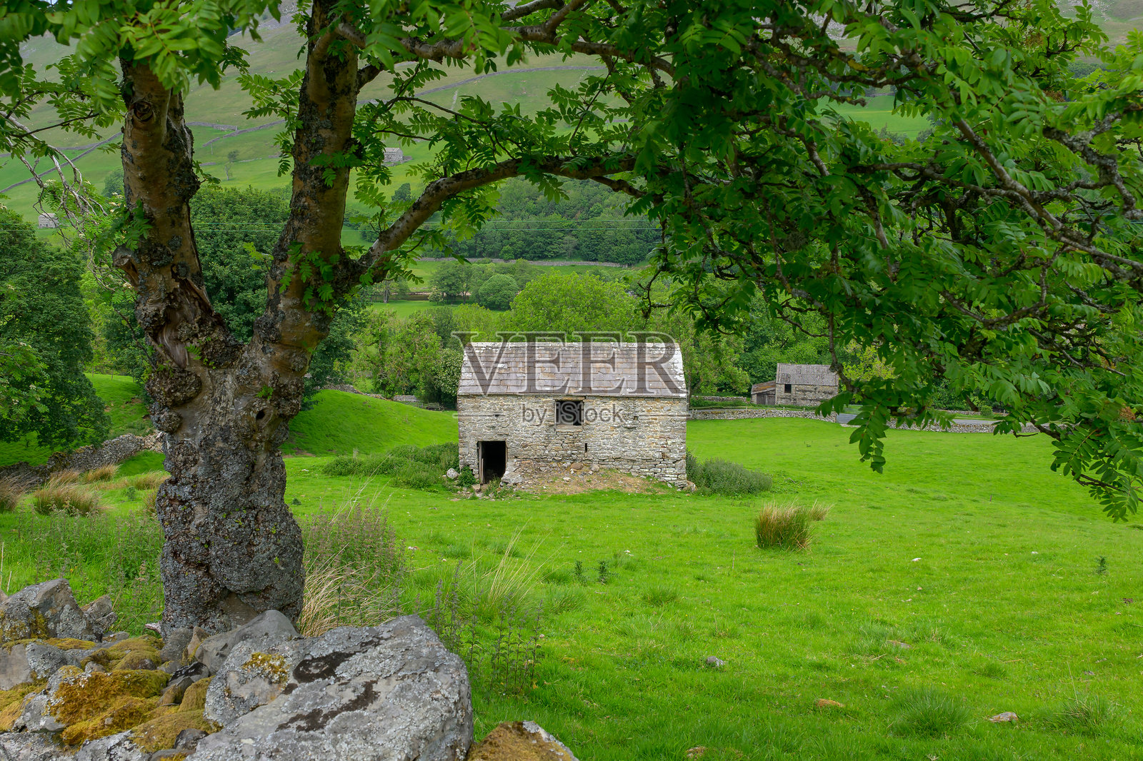 英格兰约克郡山谷石灰岩乡村的夏季草地上的传统石建筑照片摄影图片