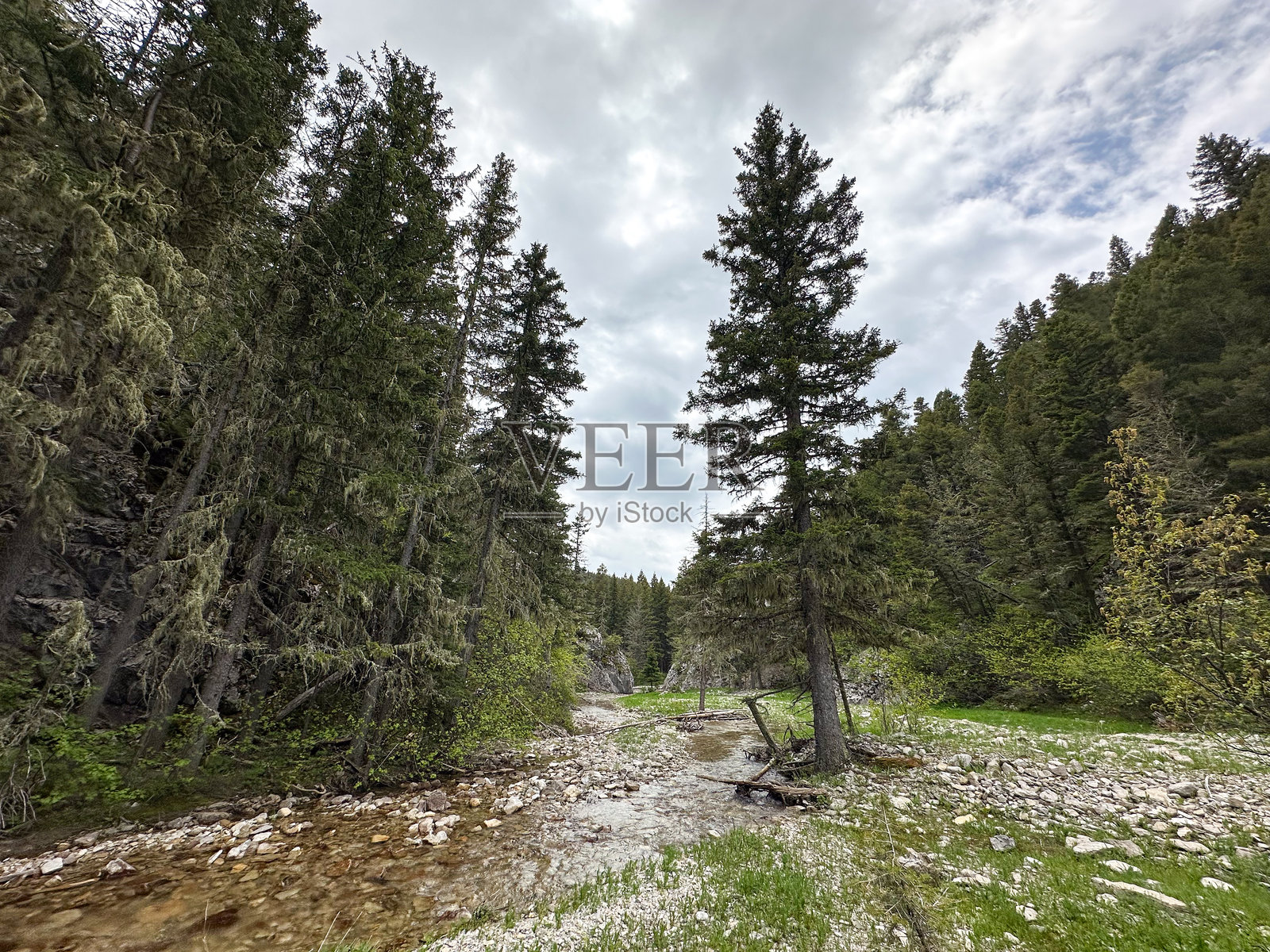 美丽的落基山脉山景,蒙大拿州照片摄影图片