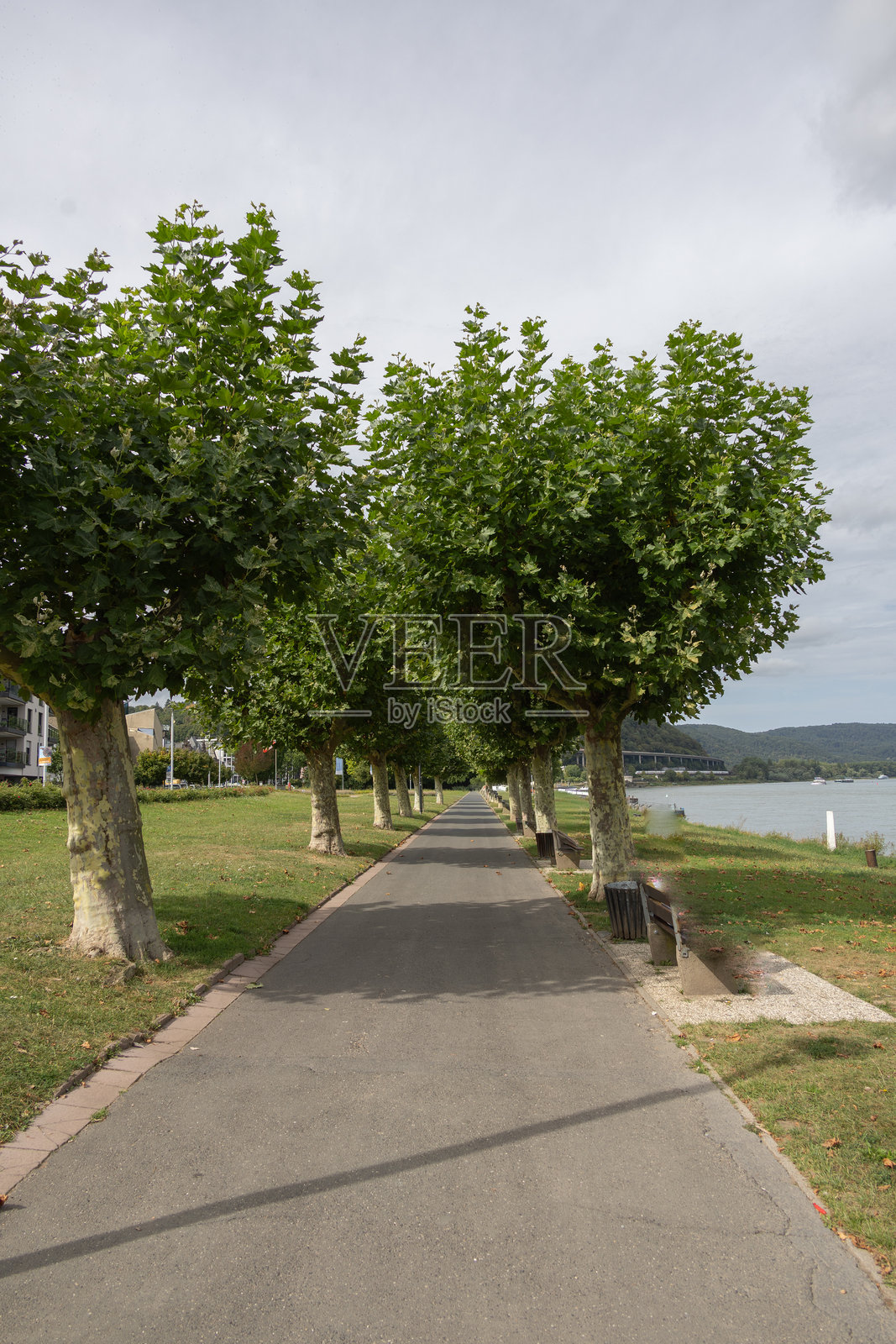 安德尔纳赫的美丽林荫大道,绿树成荫照片摄影图片