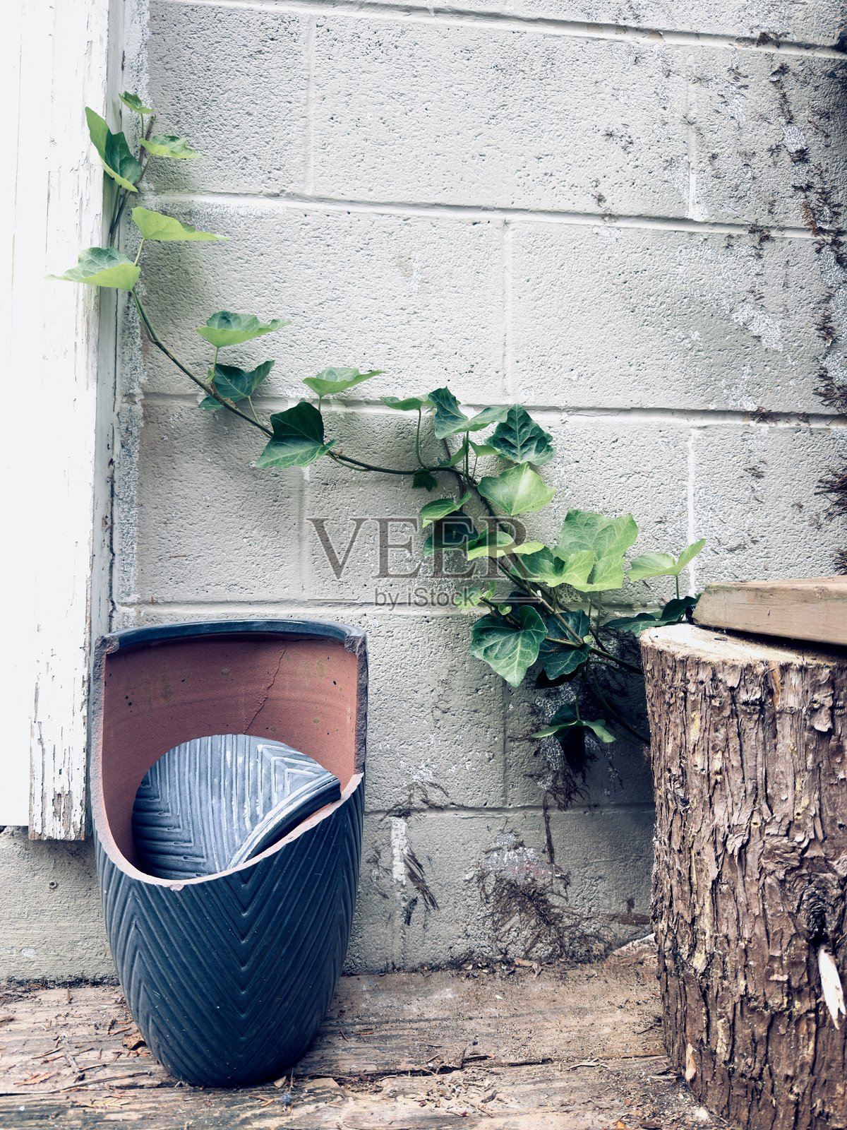 回收利用照片摄影图片