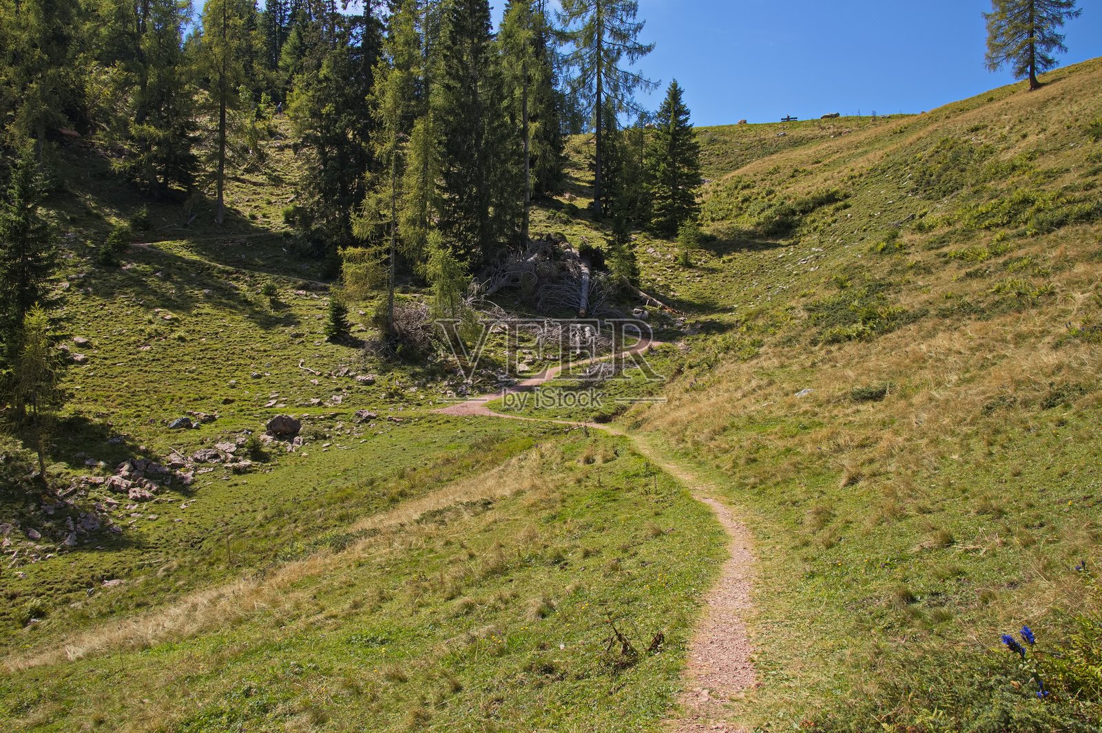 阿尔卑斯草甸上通往奥地利洛费尔的玛尔莫湖徒步小径,欧洲照片摄影图片