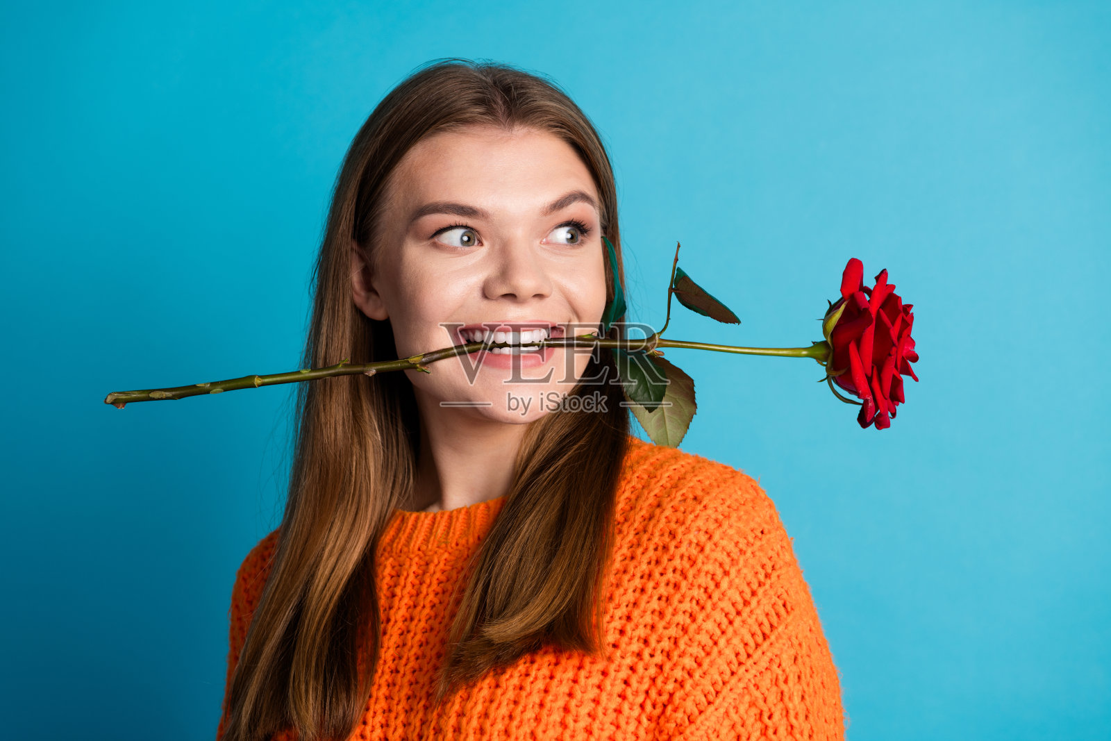 可爱的年轻女性嘴里叼着一朵红玫瑰,穿着橙色毛衣在蓝色背景前摆姿势。照片摄影图片