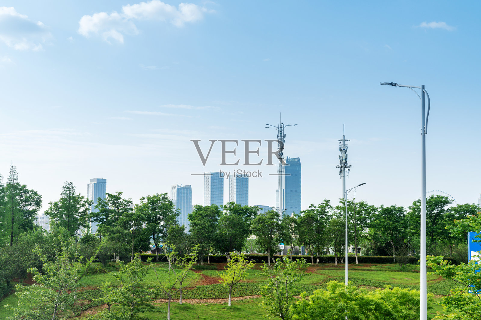 上海现代建筑背景下的城市公园照片摄影图片