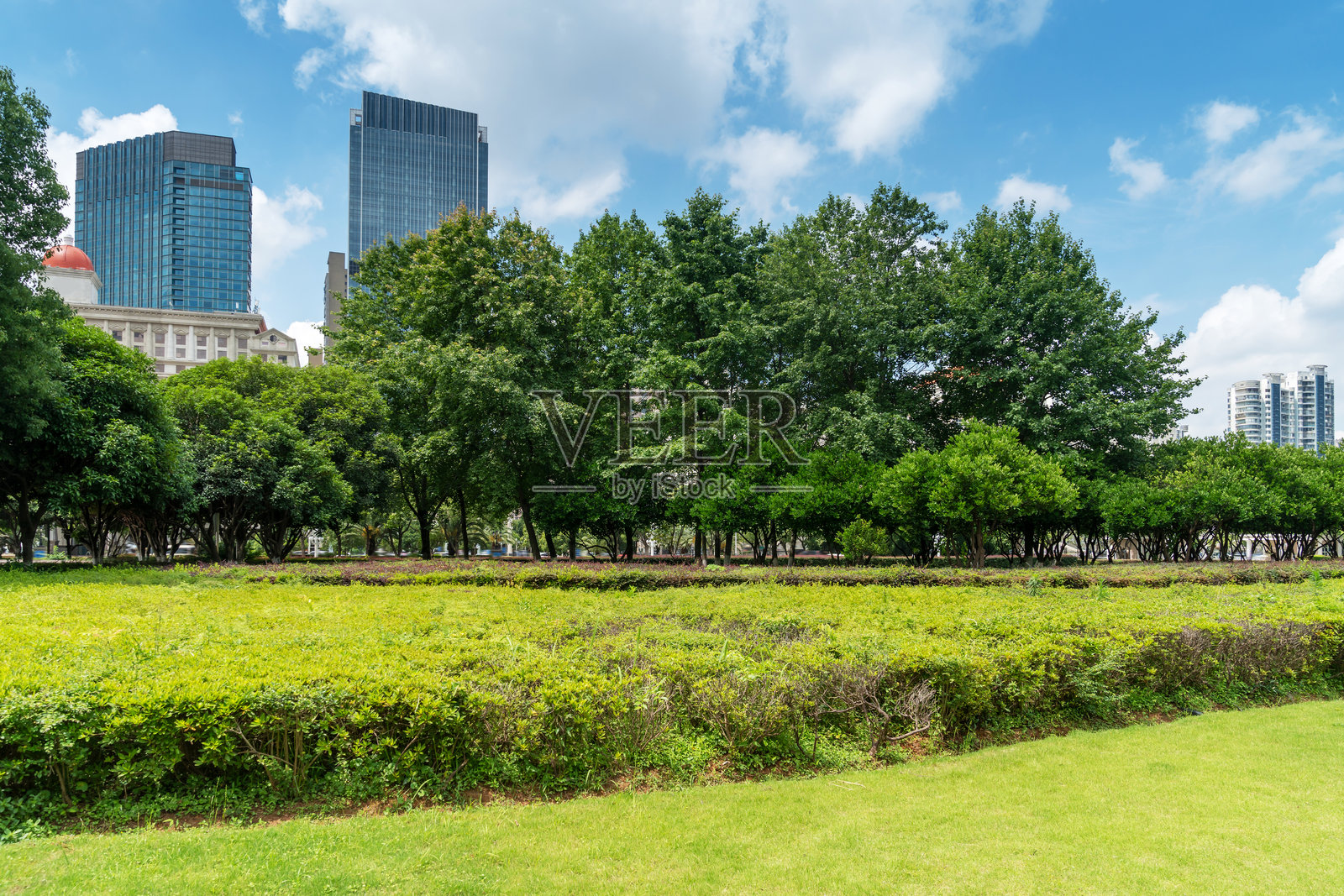 上海现代建筑背景下的城市公园照片摄影图片