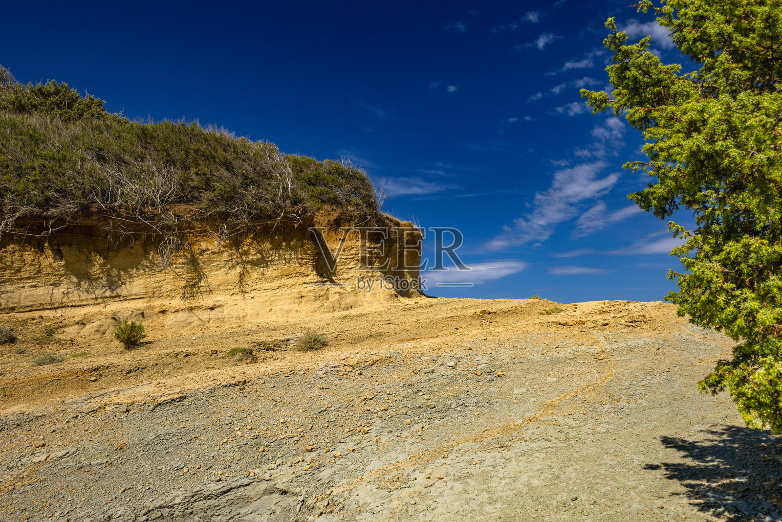 拉布岛的斯特拉奇克海滩上,沙丘、流动的沙子和野生地中海植被。照片摄影图片