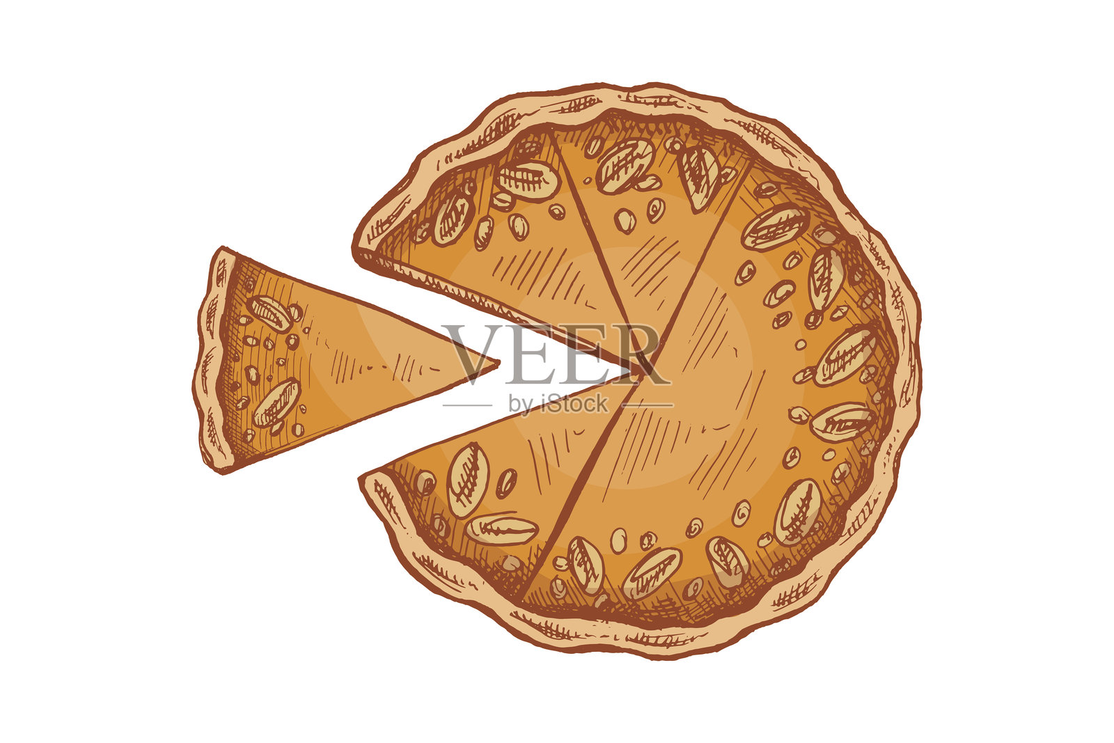 手绘传统南瓜派与胡桃的素描。烘焙的矢量插图。自制蛋糕,面包店。食谱、餐厅或咖啡馆菜单的俯视图美食。感恩节、圣诞节的传统美食。插画图片素材