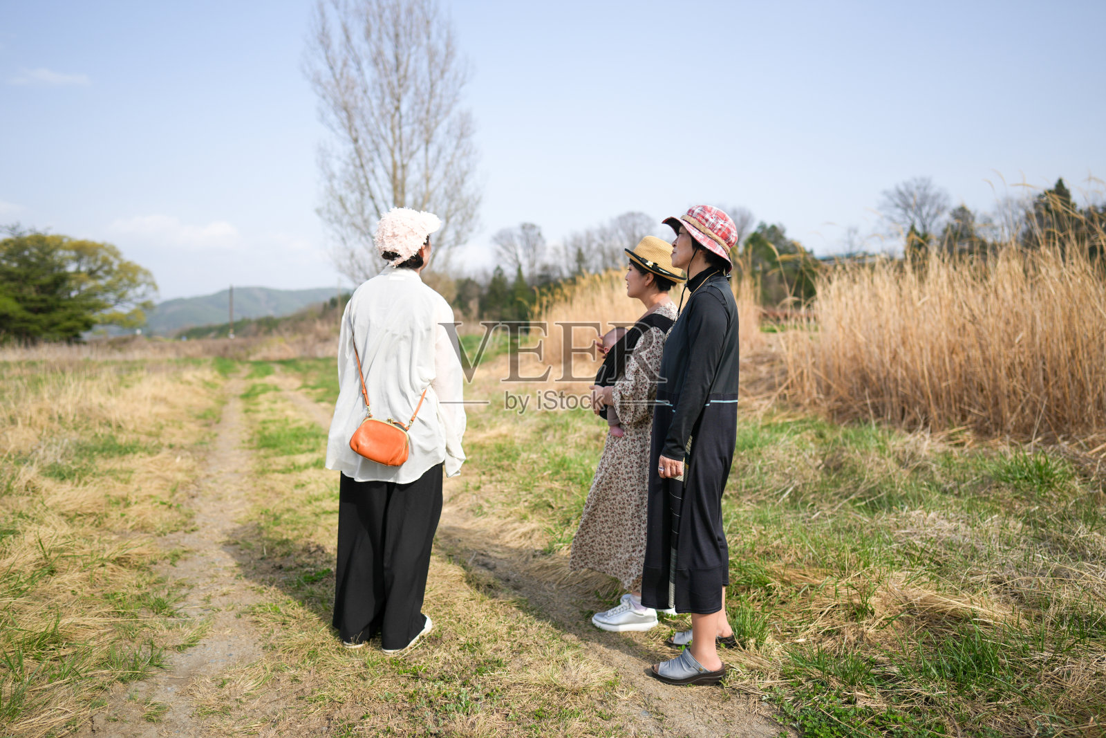 三位女性站在田野中,其中一位穿着黑色连衣裙。照片摄影图片