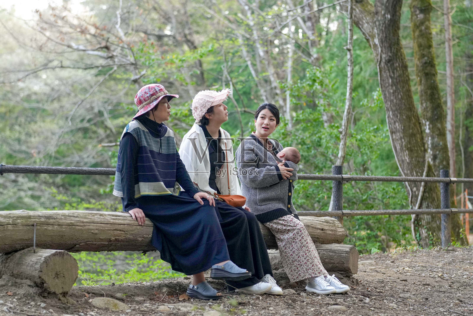 三位女性坐在森林中的一根原木上,其中一位抱着一个婴儿。照片摄影图片