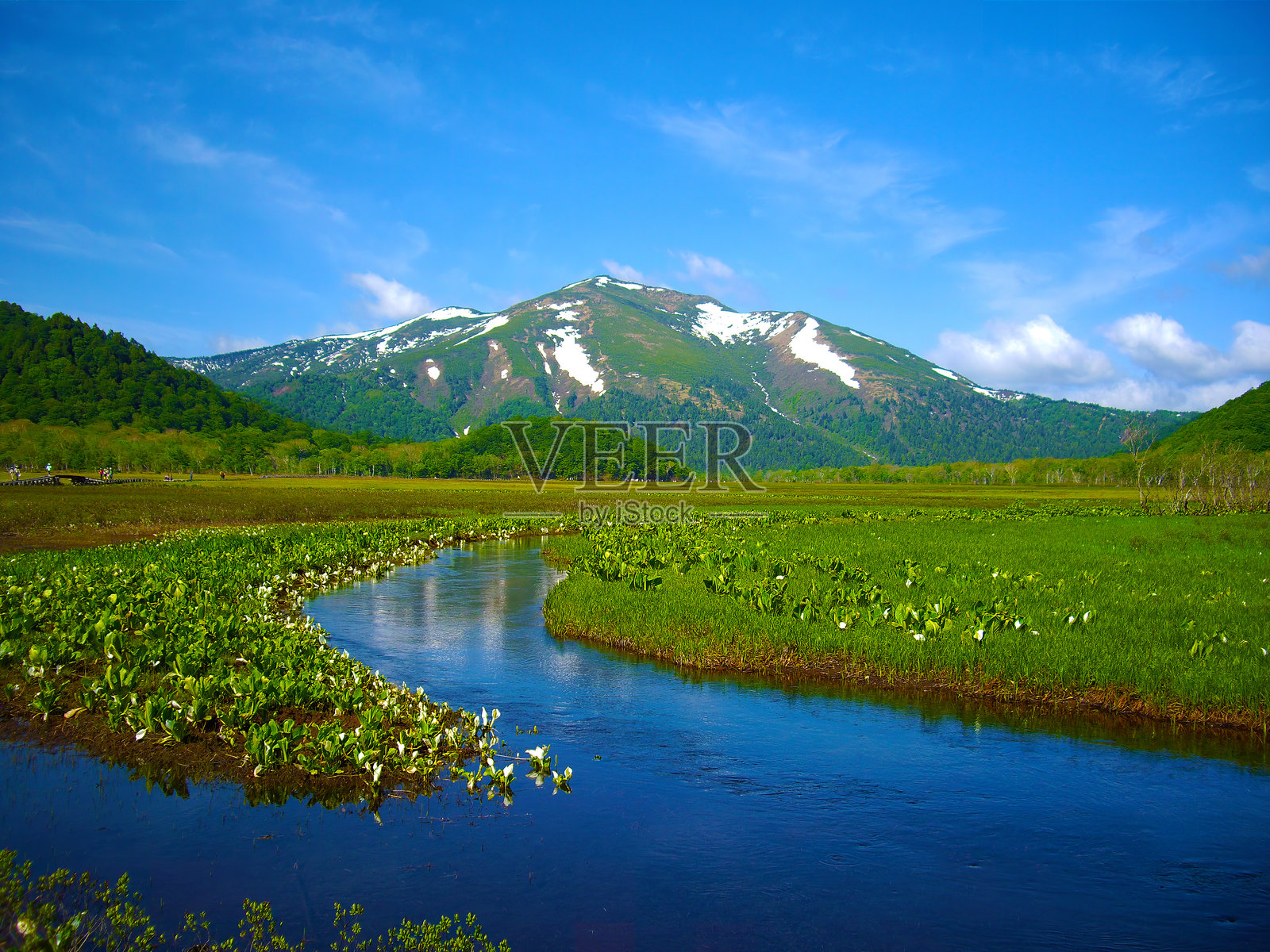 日本的尾瀬沼(尾瀬ヶ原)。照片摄影图片