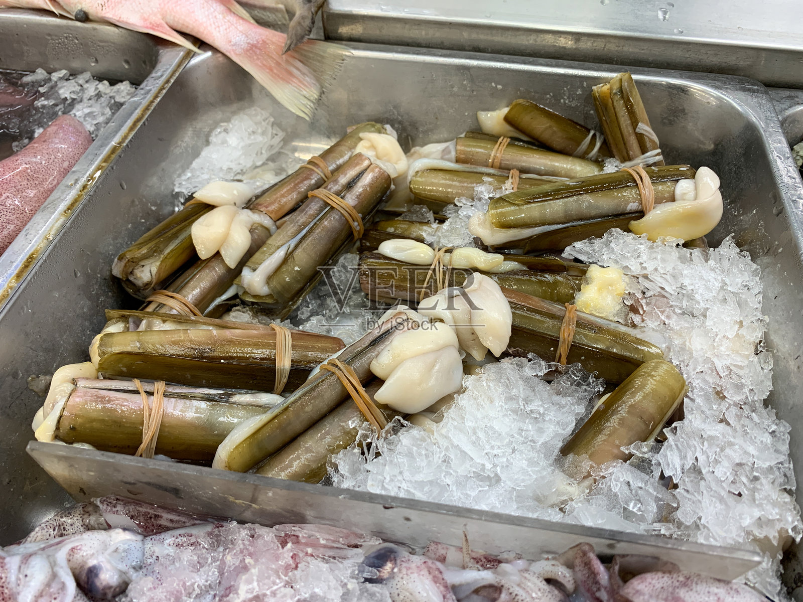 超市里的新鲜 razor clams照片摄影图片