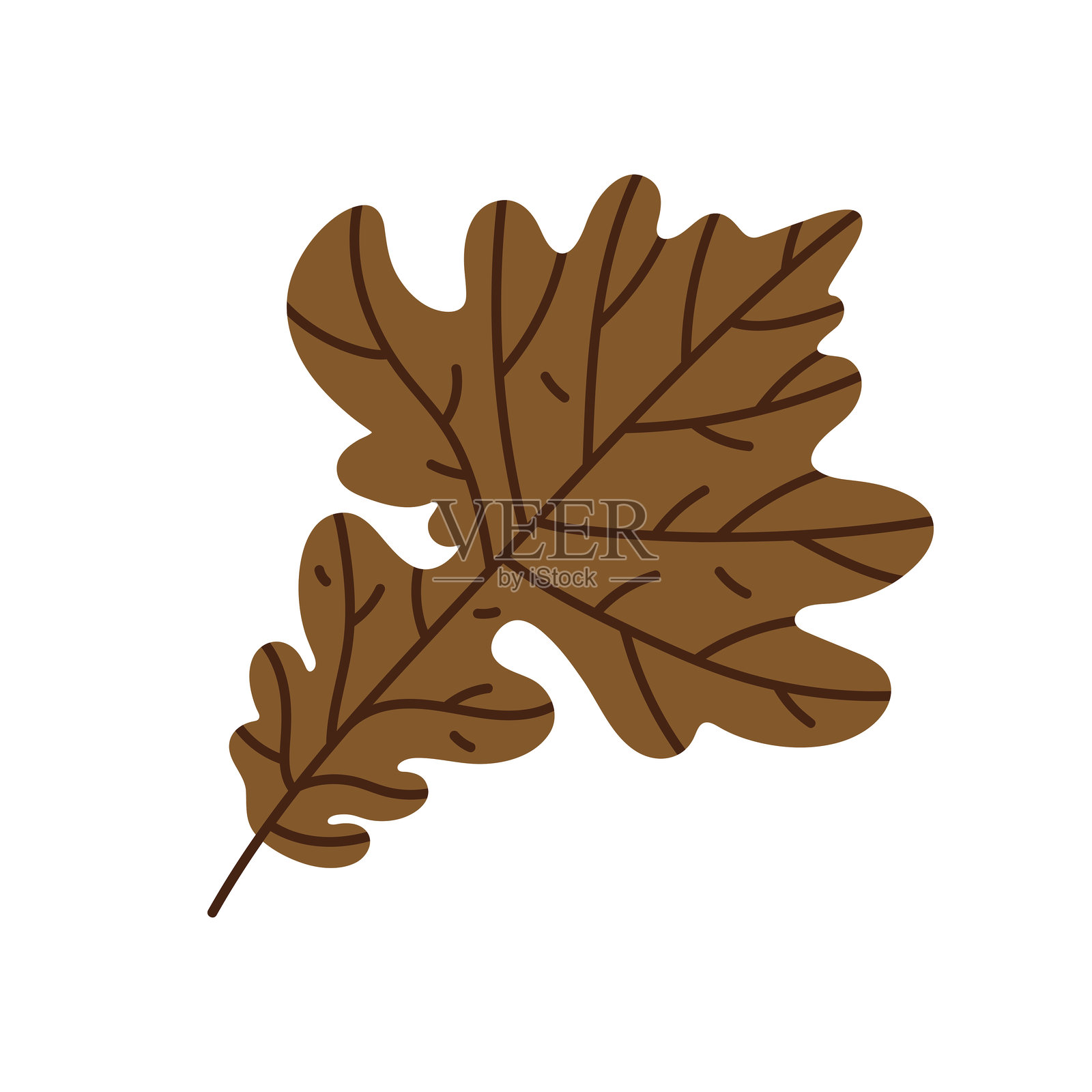 棕色橡树叶矢量插图。手绘植物剪贴画,用于季节性装饰和秋季设计。干叶子带有详细的叶脉。简单的涂鸦,独立于白色背景。野生森林植物,树叶。插画图片素材
