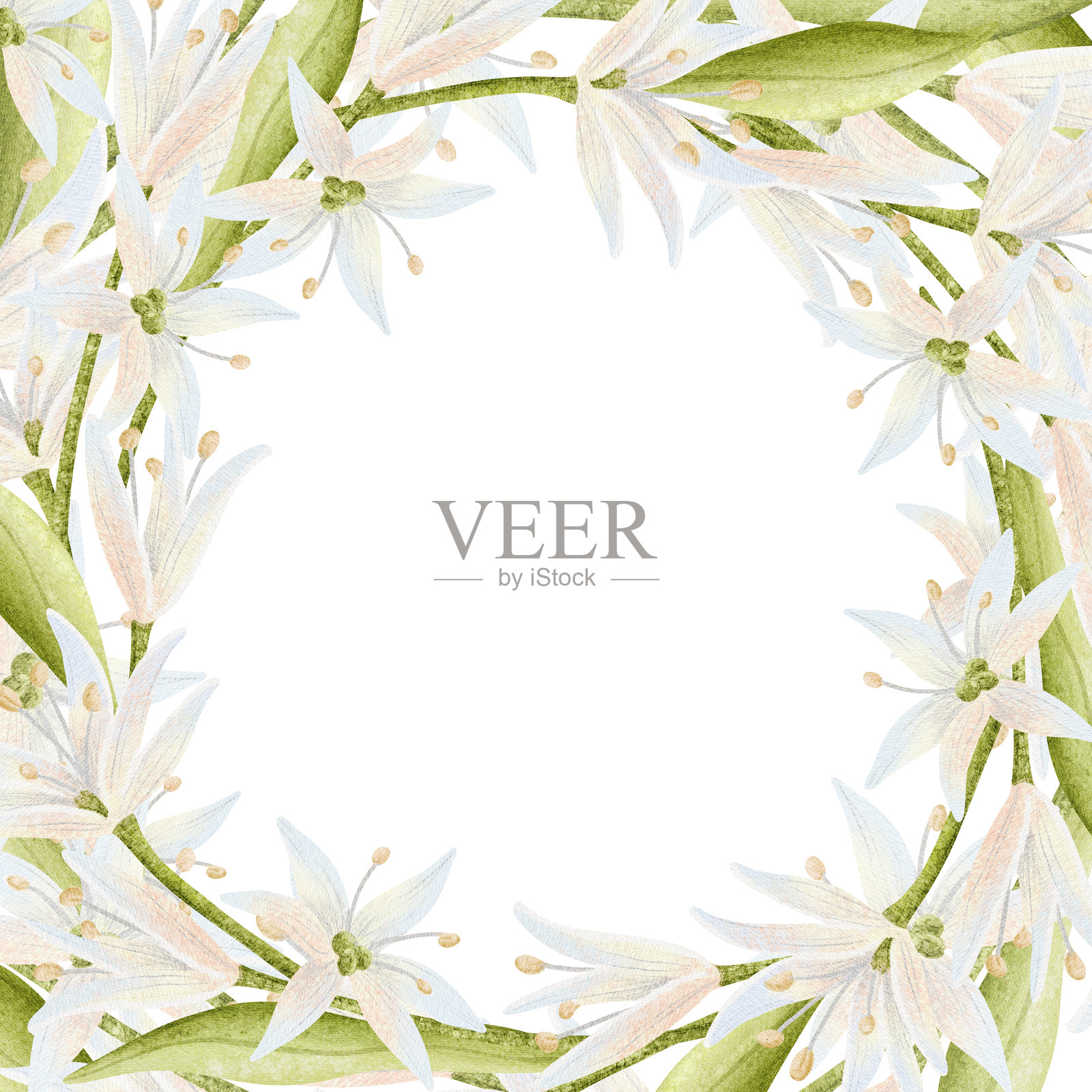 浪漫的白色花卉水彩方形框架插画图片素材