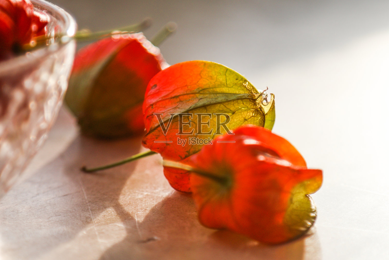 灯笼果, cape gooseberry 悬挂在灌木上。橙色的果实与绿色的叶子。富含维生素的水果。照片摄影图片