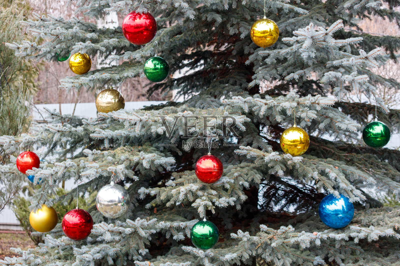 一棵挂满五彩球的圣诞树照片摄影图片