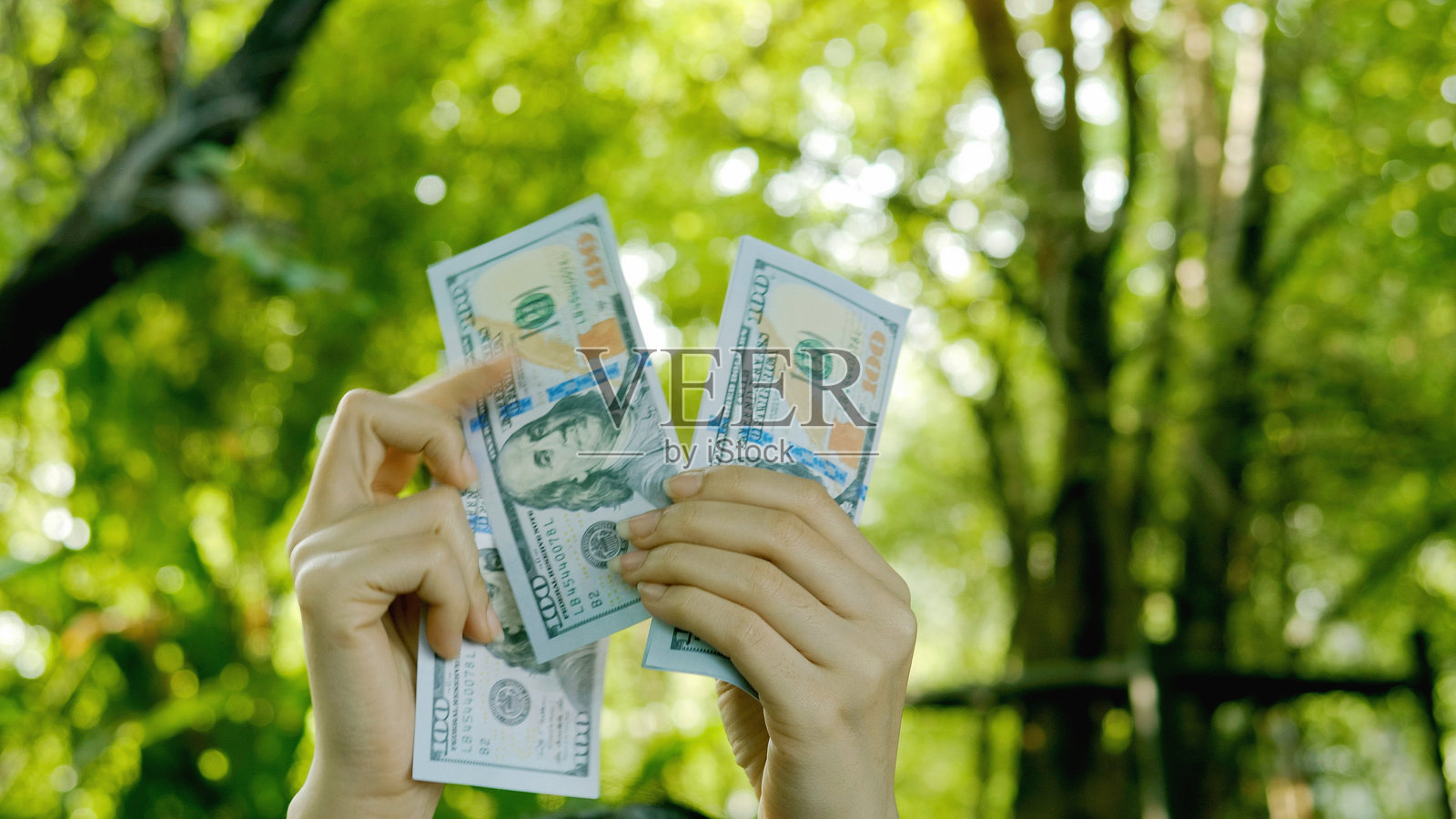 美元货币财务规划与投资收入照片摄影图片