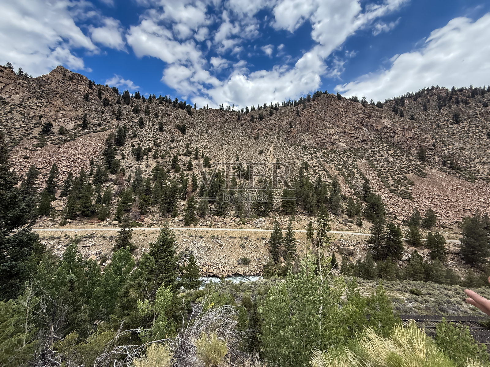 科罗拉多州的松树和明亮蓝天的落基山坡照片摄影图片