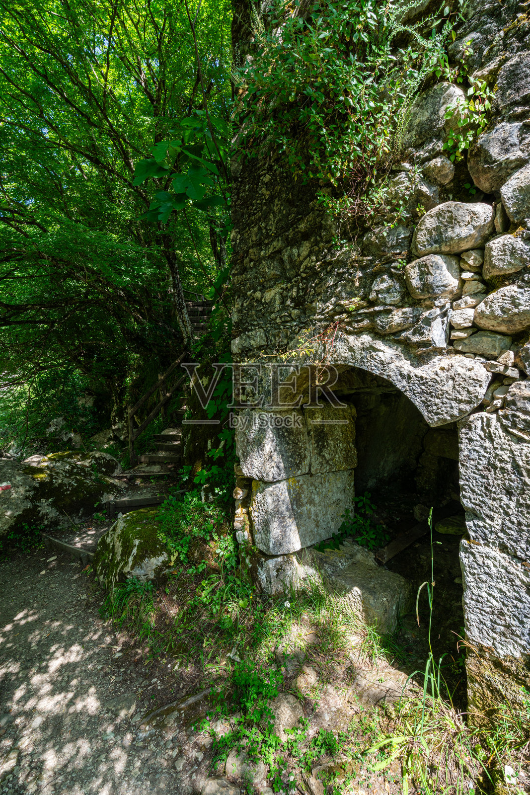 阳光明媚的夏日,萨马罗河的复苏。位于意大利坎帕尼亚的切伦托国家公园附近的罗斯基尼奥。照片摄影图片