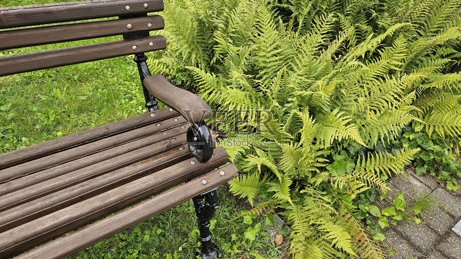 蕨叶纹理与木凳细节照片摄影图片