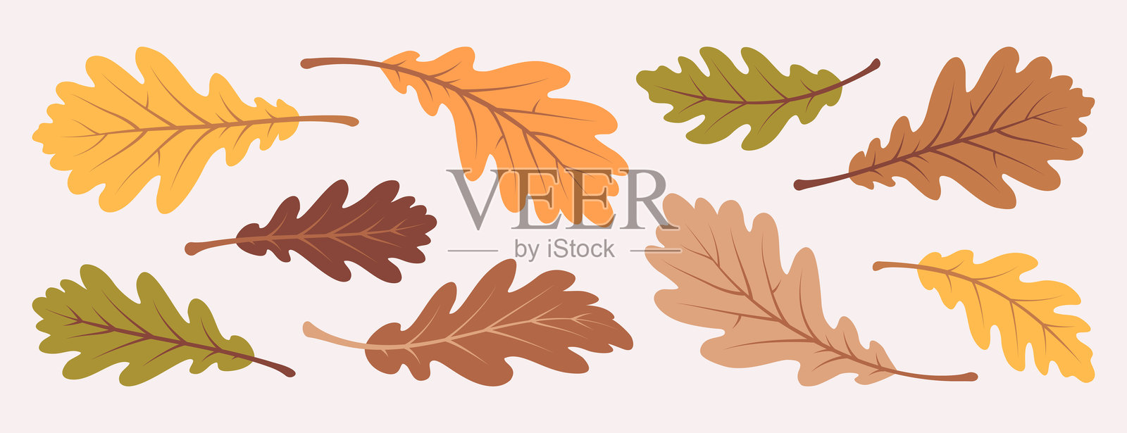秋季设计用的多彩橡树叶集合插画图片素材