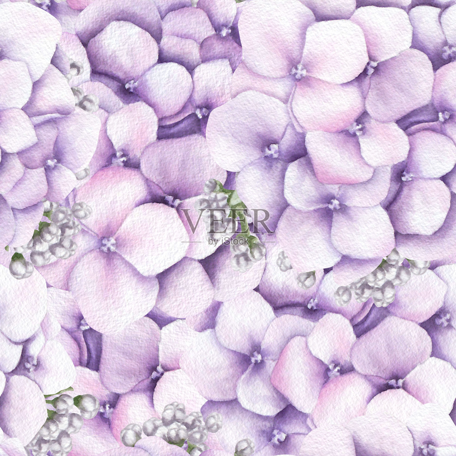 水彩无缝图案,粉色绣球花及花蕾。手绘插图插画图片素材