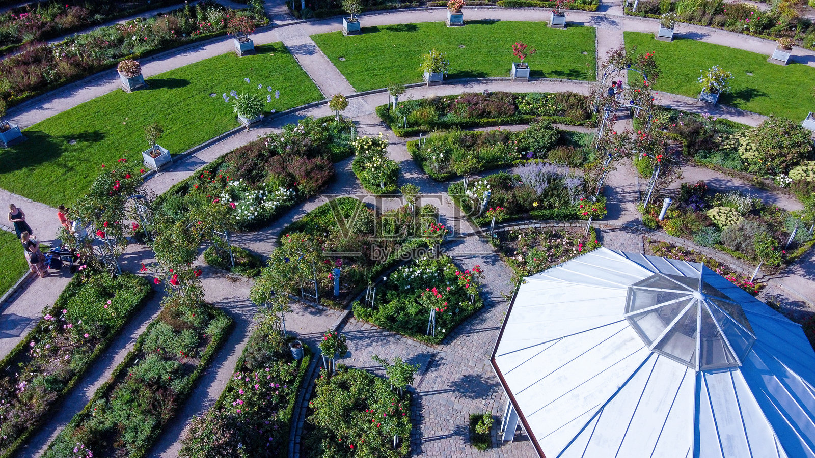 汉堡植物园(Planten un Blomen)中的玫瑰花园圆圈照片摄影图片
