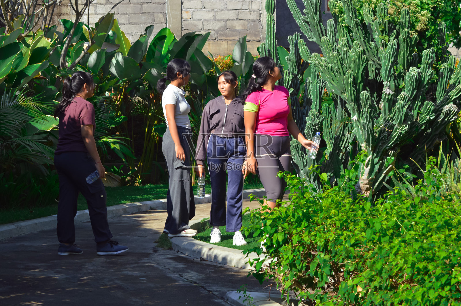 四个青少年女孩在公园花园的仙人掌附近一起散步照片摄影图片