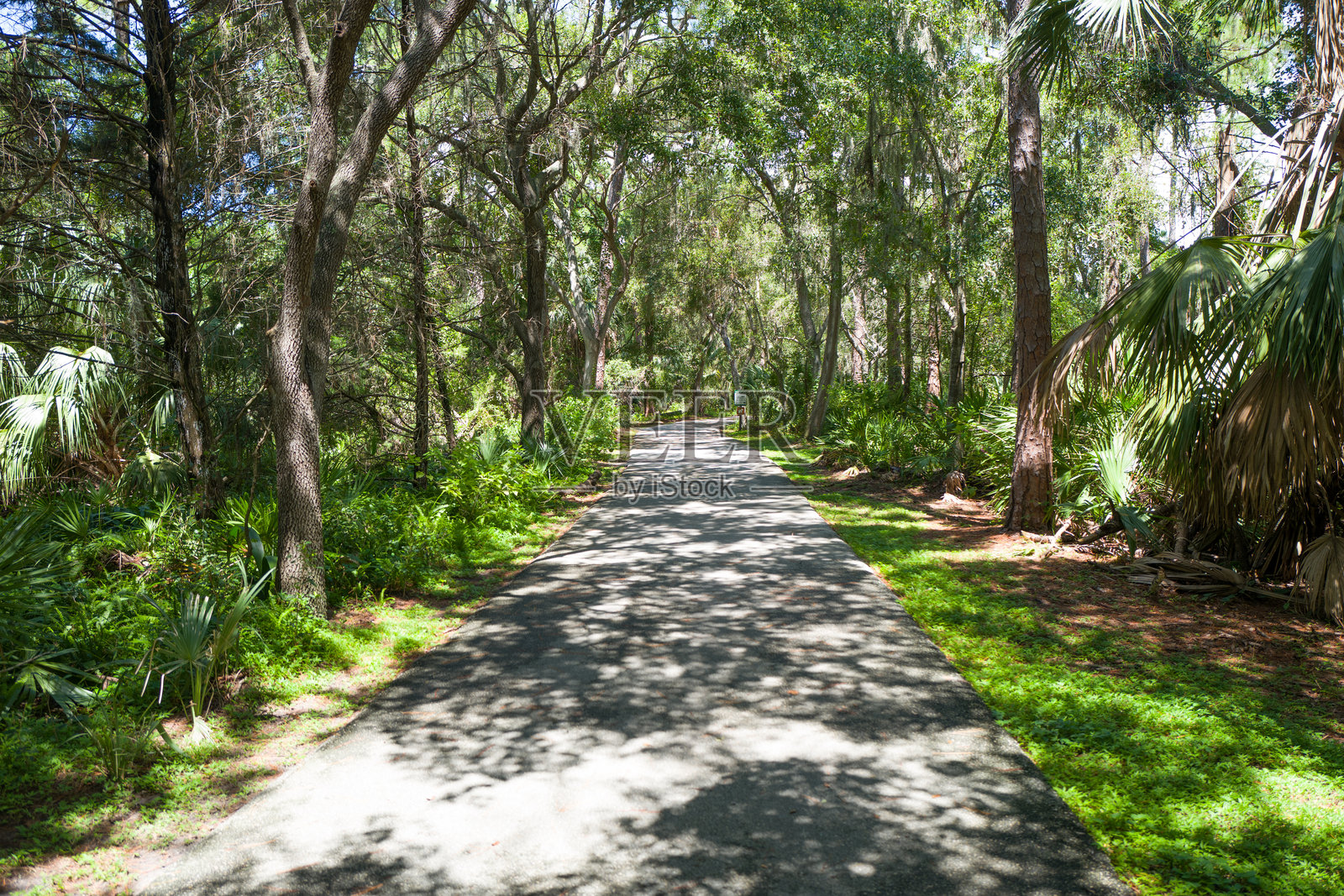 皮内拉斯县自行车道照片摄影图片