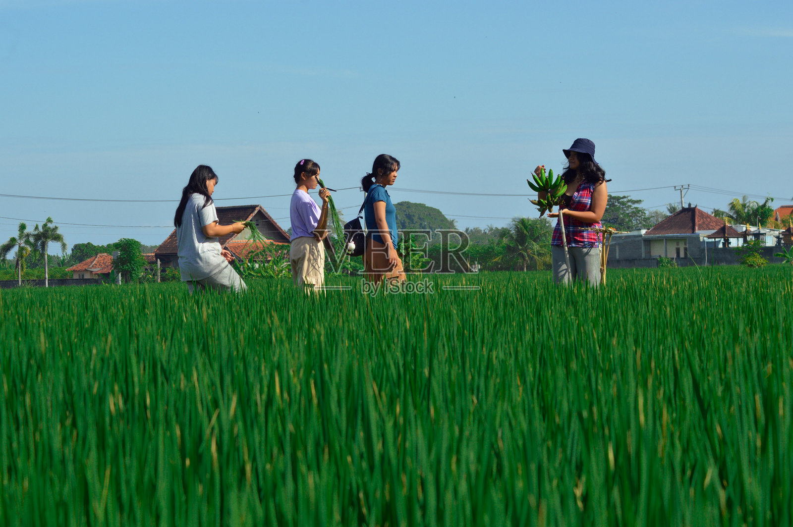 青少年女孩展示香蕉,同时提着新鲜蔬菜照片摄影图片