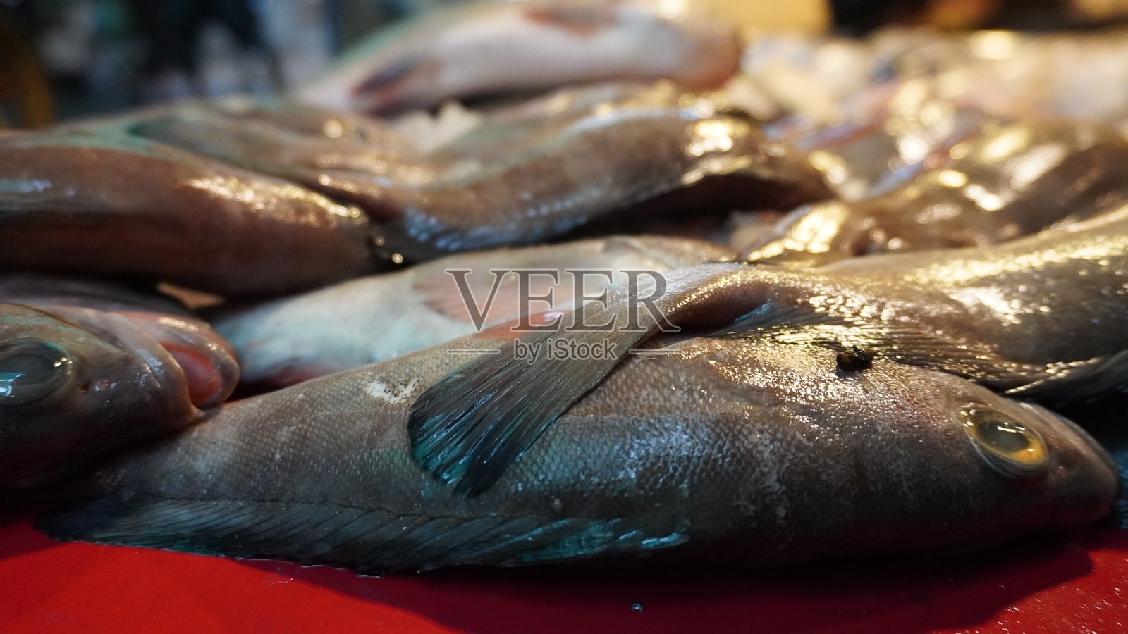 新鲜捕获的鱼堆放在红色表面上,眼睛可见照片摄影图片