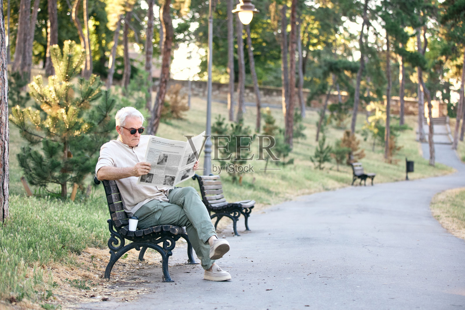 老年绅士在宁静的公园环境中享受安静的阅读时光照片摄影图片