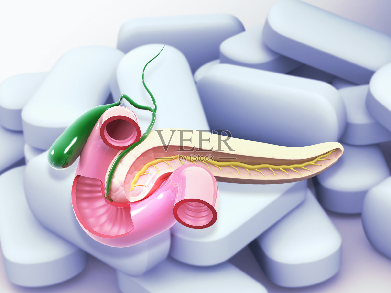 医学药片背景下的胰腺解剖图。照片摄影图片