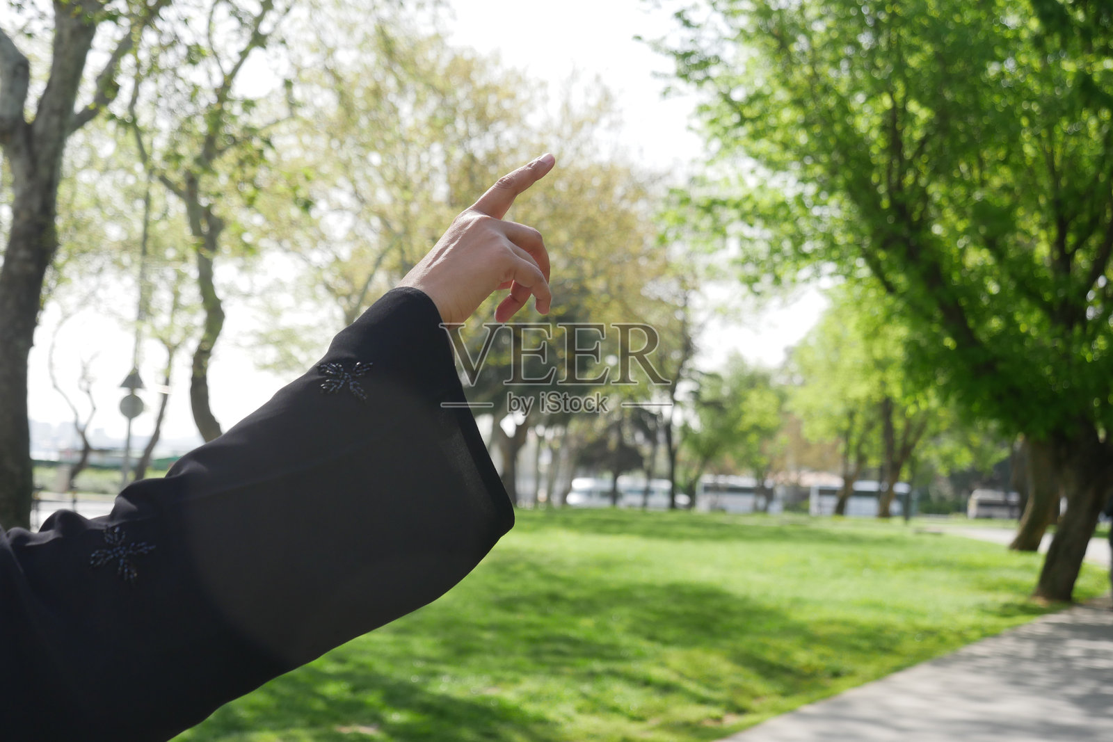 一个人在明亮的公园环境中指向树木。照片摄影图片