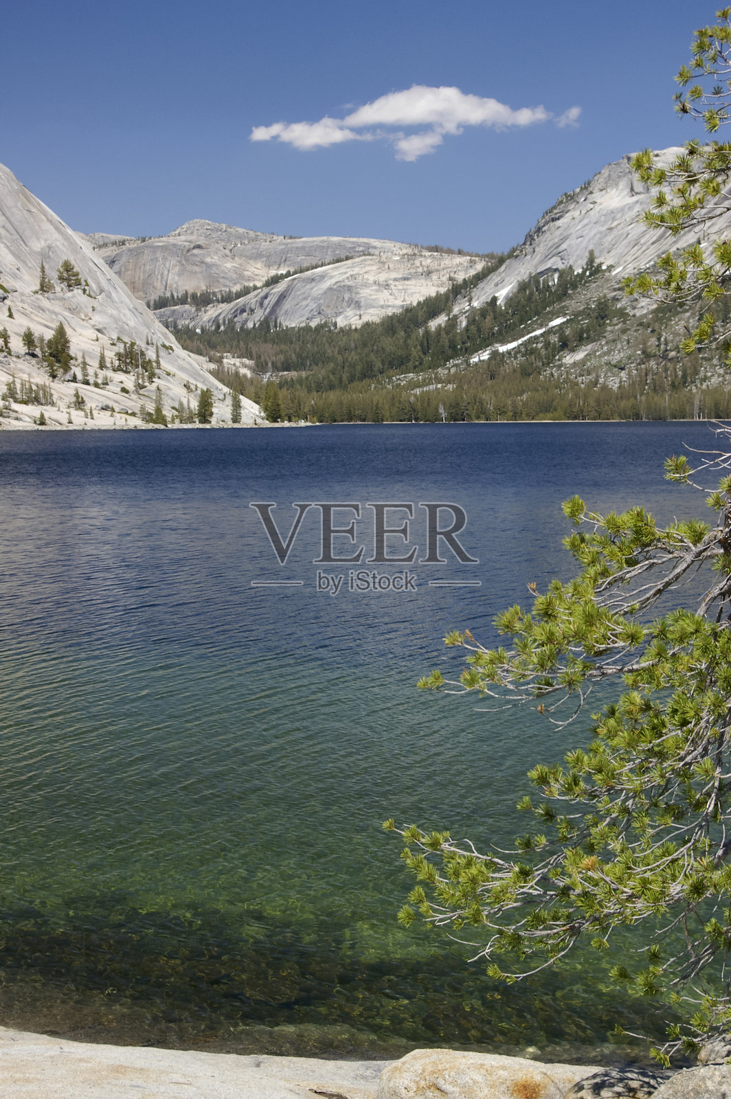 加利福尼亚白山的风景,展现了一片清澈的湖泊照片摄影图片