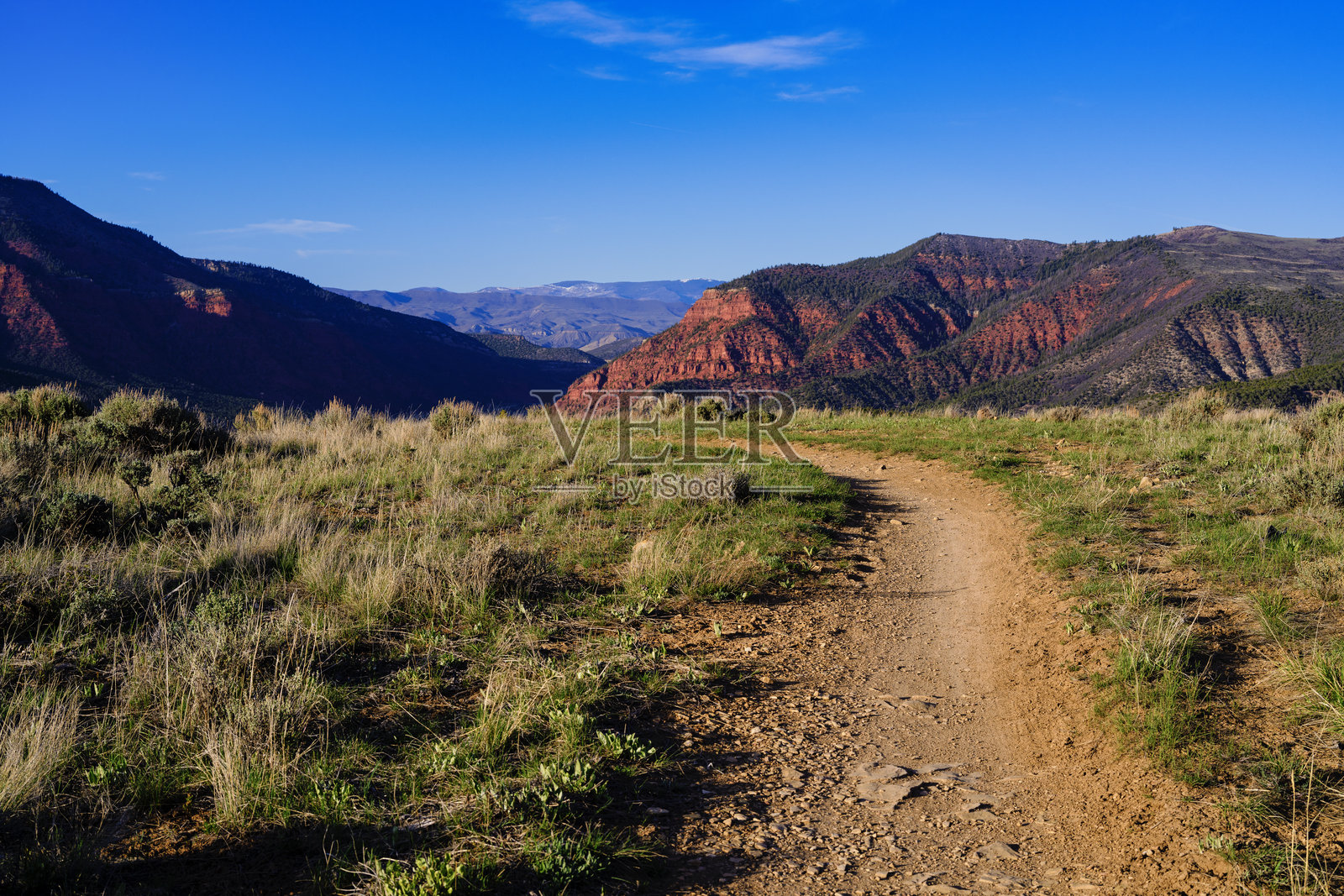 墓地和红峡谷景观鹰科罗拉多州照片摄影图片