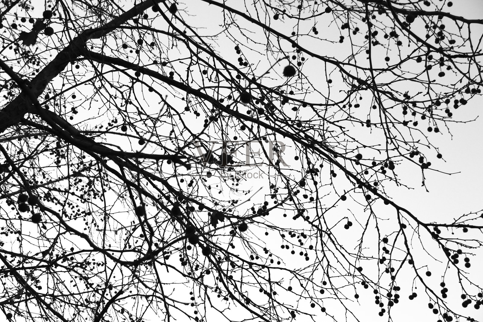 西班牙岛的剪影在下午照片摄影图片