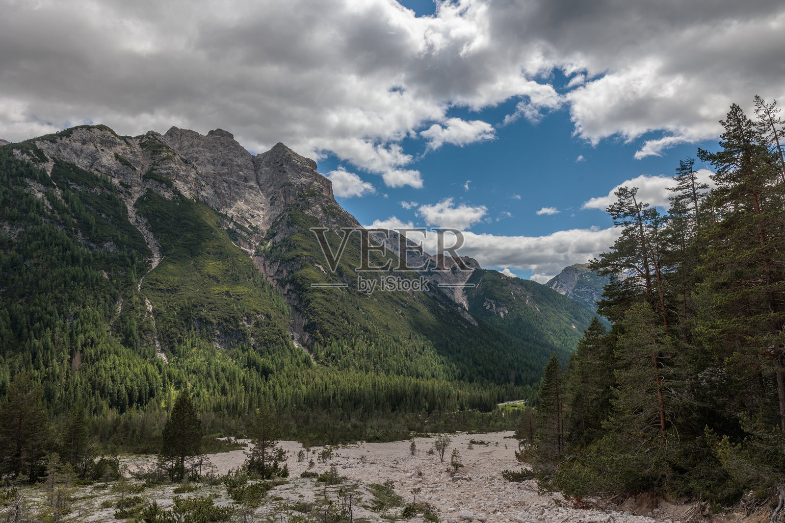 夏日午后,威尼托美丽的契马班奇山谷(BL)全景,雄伟的山脉照片摄影图片